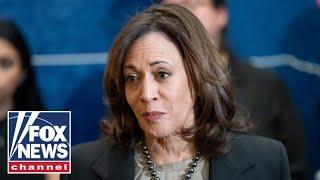 Harris mocked for Fat Joe weed rountable: 'Sad reality'