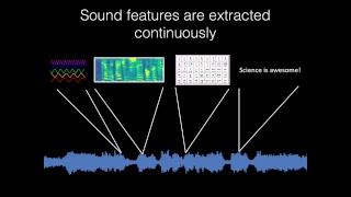 Studying Sound in the Human Brain Using Predictive Models