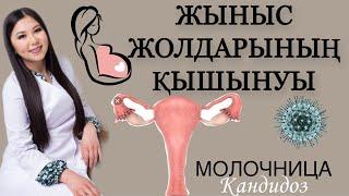 МОЛОЧНИЦА. ЖЫНЫС ЖОЛДАРЫНЫҢ ҚЫШЫНУЫ. КАНДИДОЗ