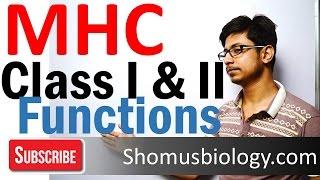 MHC class 1 and 2 | Major histocompatibility complex