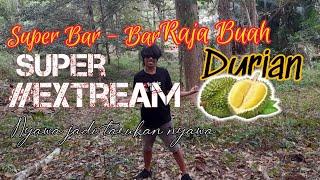 Menyantap si raja buah durian special bar - bar #King of Fruit
