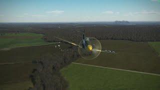 Enjoying his last moments... IL2 sturmovik_P51