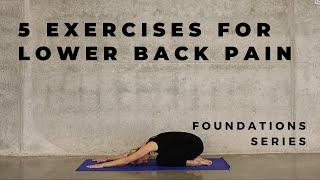 Fix your lower back with these 5 simple exercises • Yoga Therapy for chronic lower back pain ️