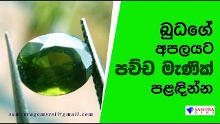 බුධගේ අපලයට පච්ච මැණික් පළදින්න | GREEN ZIRCON | PACHCHA | SAMEERA GEMS