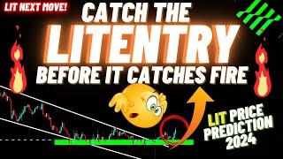 Catch The Litentry Before It Catches Fire | LIT Price prediction 2024
