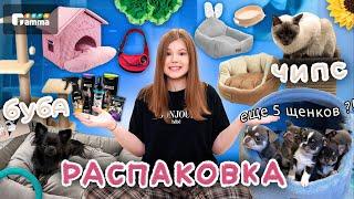 РАСПАКОВКА ПОКУПОК для ЩЕНКА и КОТА ‍⬛ | Gamma |