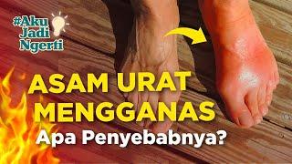 ASAM URAT MENGGANAS‼️ INI PENYEBABNYA ...