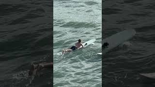 Surfer Rescues Drowning Seabird