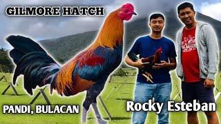 GILMORE HATCH - S&R GAMEFARM - RED GAMEFARM LINE - QUALITY GAMEFOWL IN THE PHILIPPINES