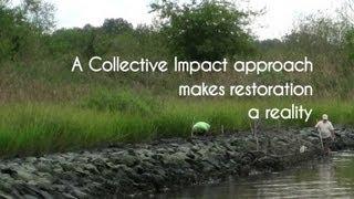 Here's How They Use Collective Impact: Elizabeth River