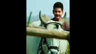 super star Mahesh babu  maharishi movie  # a farmer# emotional scene