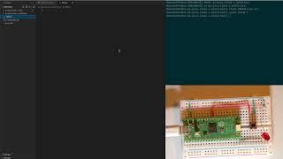 Pi Pico multicore programming in C on a Linux workstation