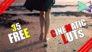 Best FREE 35 CINEMATIC COLOR LUTs For Filmora X | How To Use COLOR LUT In Filmora X