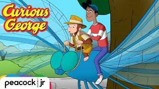 Big Bugs, Tiny George | CURIOUS GEORGE