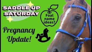 SADDLE UP SATURDAY E8 Pregnancy Update! Talking About Naming the Foal! #horselovers