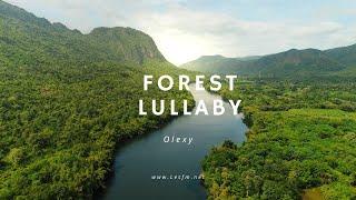 Forest Lullaby / Relaxing  Background Music / Acoustic Folk