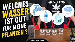 Welches Wasser soll ich für meine Pflanzen beim Anbau von Bubatz verwenden und was muss ich beachten