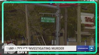 Man found dead on Hillsborough Avenue; Tampa police investigating