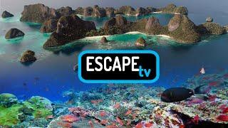 EscapeTV, the splendor of untouched nature combined with the magical underwater world - TRAILER