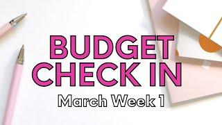 All of the Birthday Spending! || Weekly Budget Check in