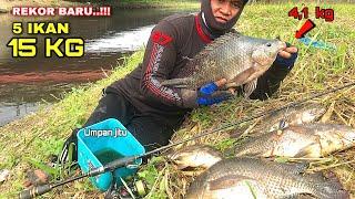 FISHING TILAPIA..!! Rekor Baru Mancing ikan Nila super Besar Rell sampai menjerit cruit