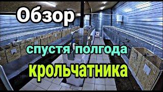 Обзор крольчатника спустя полгода. Новый крольчатник.