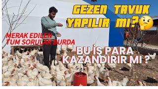 GEZEN TAVUK PARA KAZANDIRIR MI? | BU İŞE GİRMEK MANTIKLI MI ? SORU-CVP #gezentavuk #tavukçiftliği