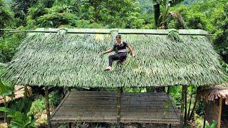 Completely built a 2-story bamboo house in the forest, roofed with natural grass leaves