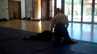 9 28 2012 Perales sensei katate kosa dori iriminage