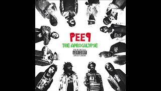 Pro Era Presents PEEP: The aPROcalypse (2012)