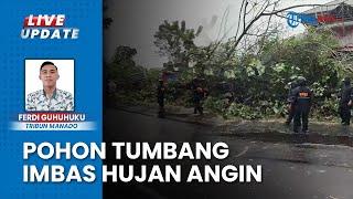 Imbas Cuaca Ekstrem Hujan Angin di Manado Sulawesi Utara, Pohon Tumbang sebabkan Jalan Lumpuh