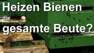 Frage & Antwort: Heizen Bienen die gesamte Beute?