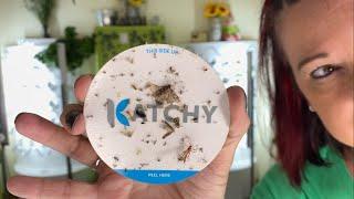 USING KATCHY INDOOR BUG TRAPS FOR OVER A YEAR - FULL REVIEW