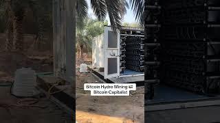 Bitcoin hydro mining Dubai, UAE #bitcoin #antspace #bitmain #antminers #bitcoinmining #bitcoinminers