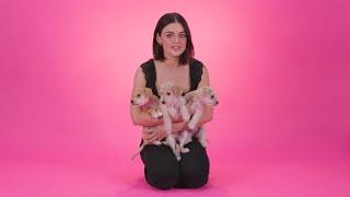 Lucy Hale: The Puppy Interview