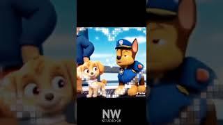 Очень жаль, что это был сон #nwstudio98 #pawpatrol #shorts #skaseforever #egorkreed