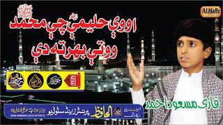 Pashtoo Hd Naat Best -2020-Owe Haleme RZ Chi Muhammad SW Ote Bahhar ta dy -Qari Masood Mashoom