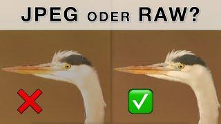 JPEG fotografieren und Zeit & Geld sparen? Lohnt sich RAW noch?