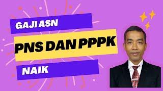 GAJI ASN PNS DAN PPPK MENGALAMI KENAIKAN DI TAHUN 2024 INI