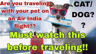 New Air India pet travel guidelines & rules #travel #pettravel #pets #travelguide