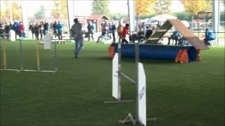 HERO - Dog City, Soliera 30 e 31 ottobre 2011.wmv