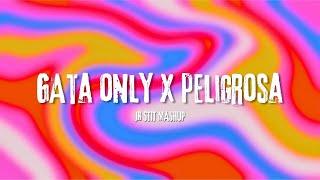 GATA ONLY X PELIGROSA (FloyyMenor) [Jr Stit Mashup]