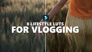 8 Lifestyle Luts for Vlogging | Filmora 13