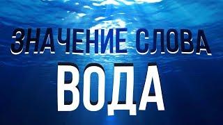 Чем ВОДА является на самом деле. Как появилось слово ВОДА. От какого слова произошло слово ТОВАРИЩ.