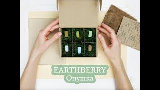 Обзор пастели EARTHBERRY | Опушка