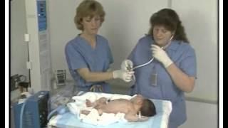 Physical Examination of the Neonate Physical Assessment of the Neonate