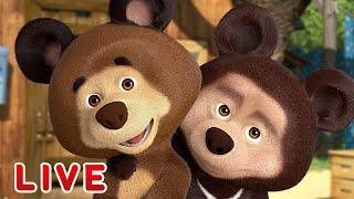  LIVE STREAM  Masha and the Bear ‍️ Friends forever  