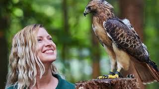 Carolina Raptor Center