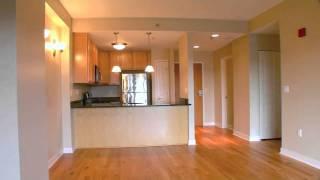 Condo for sale: 111 Ashley 905, Ann Arbor, MI