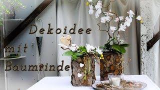 Dekoidee mit Baumrinde |  DIY